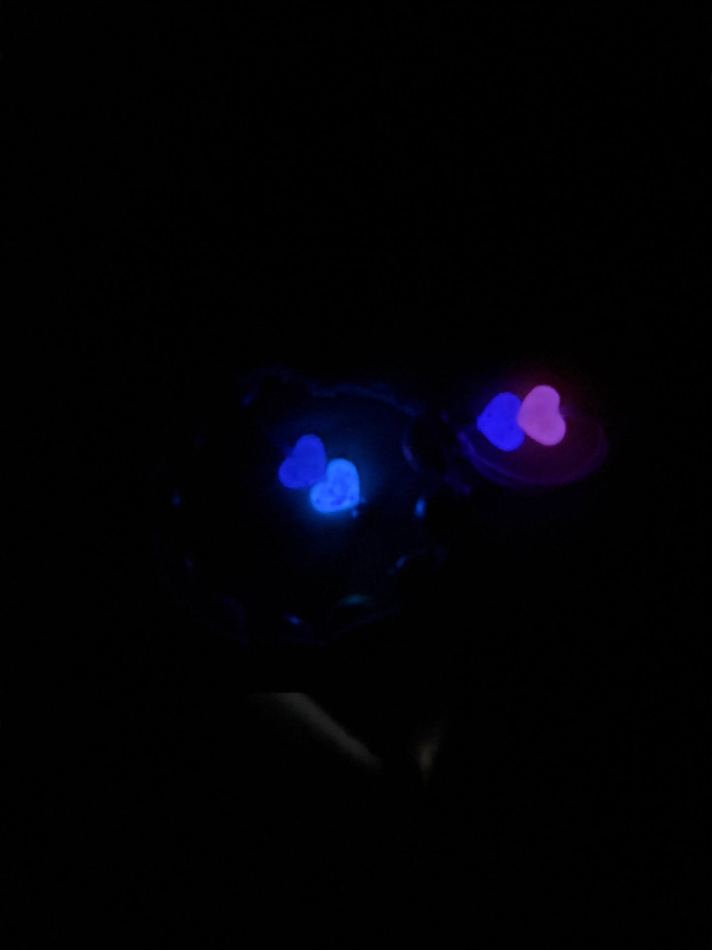 Love in the Dark